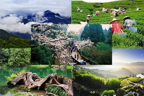 鄭州新世紀(jì)2015年代理商峰會(huì)浪漫寶島再聚首.jpg